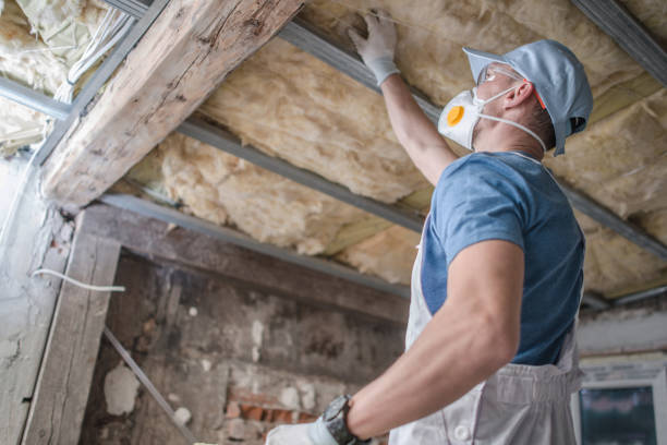 Best Home Insulation Services  in Clinton, KY