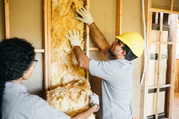 Best Professional Insulation Contractor  in Clinton, KY